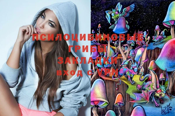 твердый Абаза