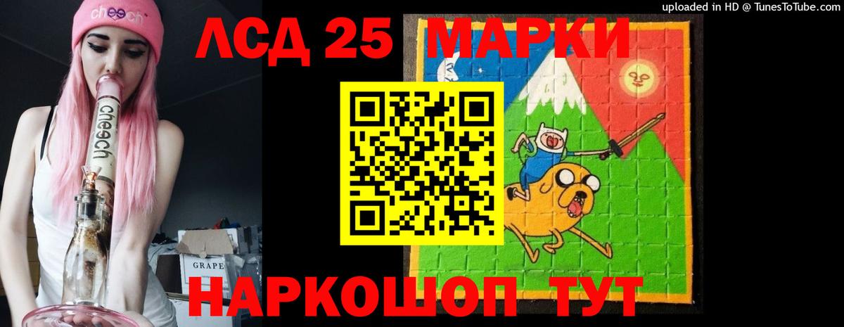 Псилоцибиновые грибы Советск
