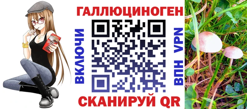 omg вход  Советск  Псилоцибиновые грибы Psilocybine cubensis 