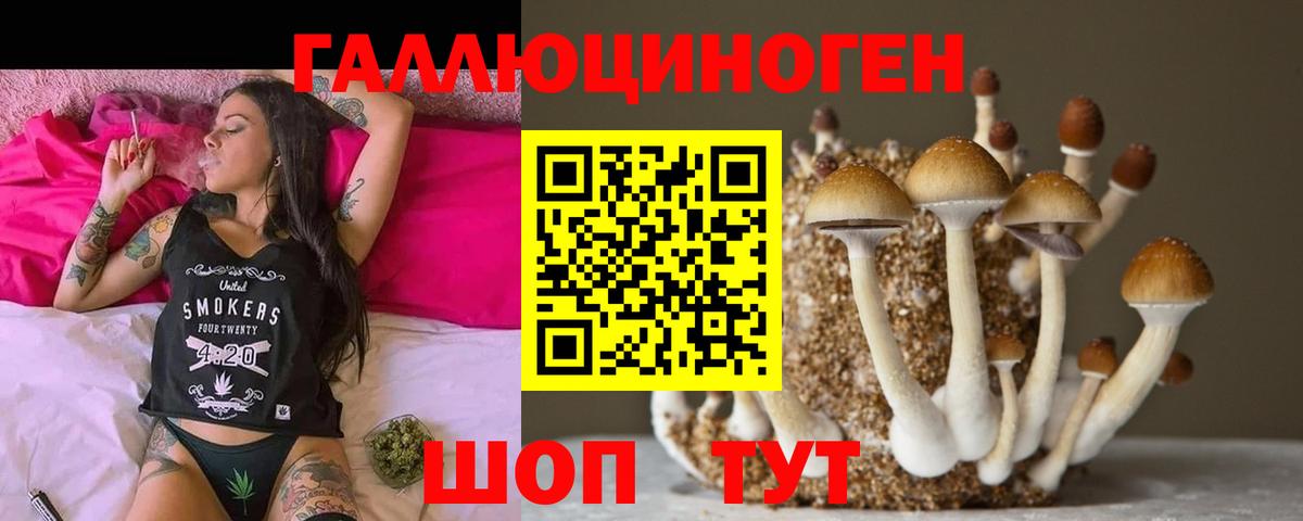 наркота  Вход с VPN  Советск  Псилоцибиновые грибы мицелий 